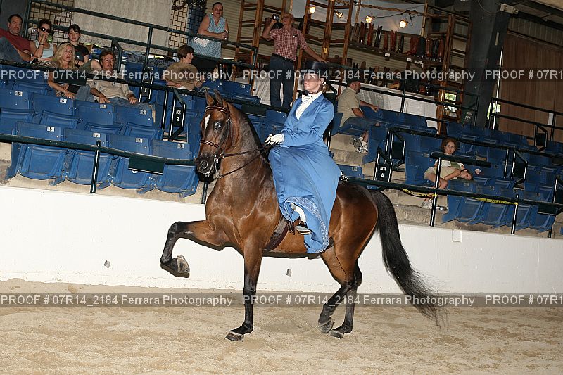 Proof 07R14_2184