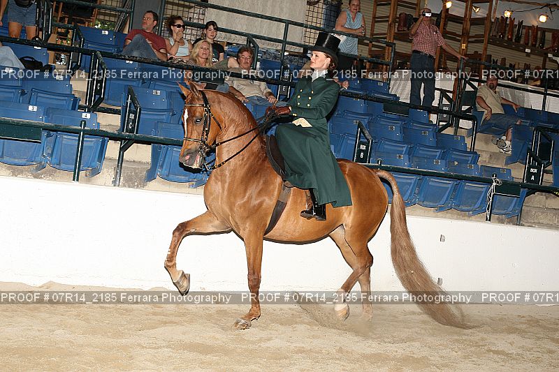 Proof 07R14_2185