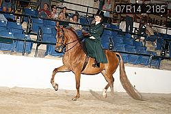 07R14_2185 proof