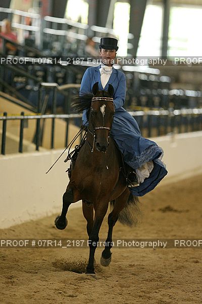 Proof 07R14_2187
