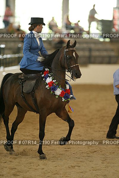 Proof 07R14_2190