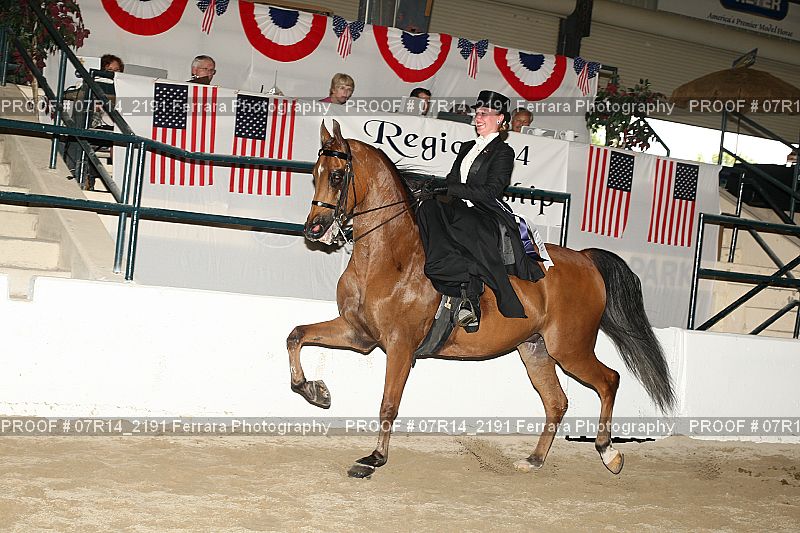 Proof 07R14_2191