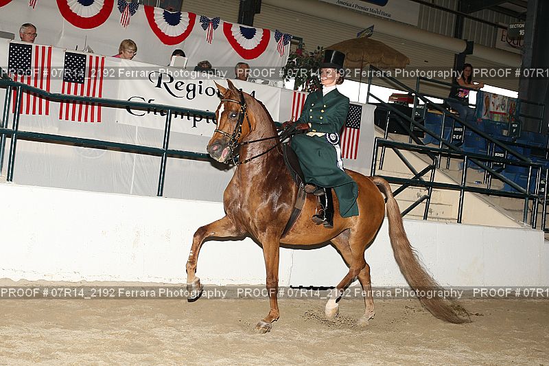 Proof 07R14_2192