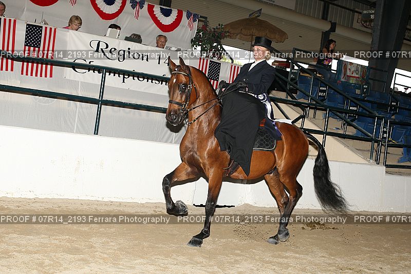 Proof 07R14_2193