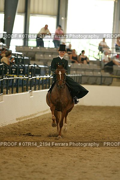 Proof 07R14_2194