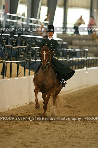 Proof 07R14_2195