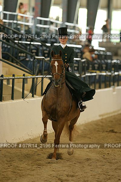 Proof 07R14_2196