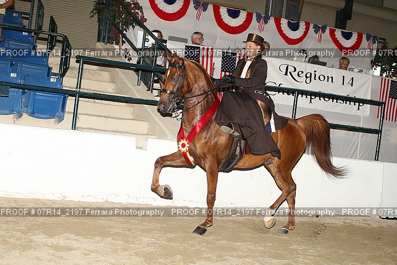Proof 07R14_2197