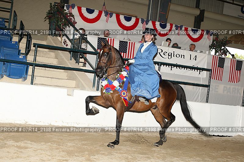 Proof 07R14_2198