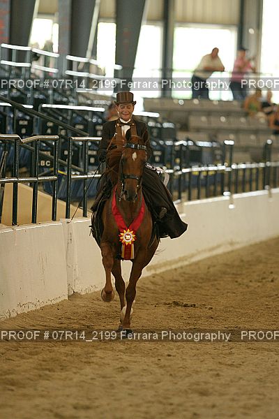 Proof 07R14_2199