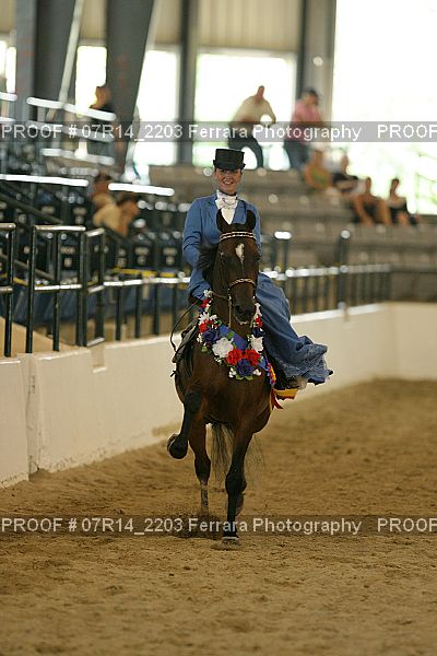 Proof 07R14_2203