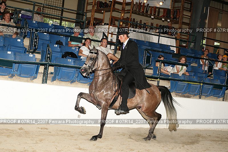 Proof 07R14_2207