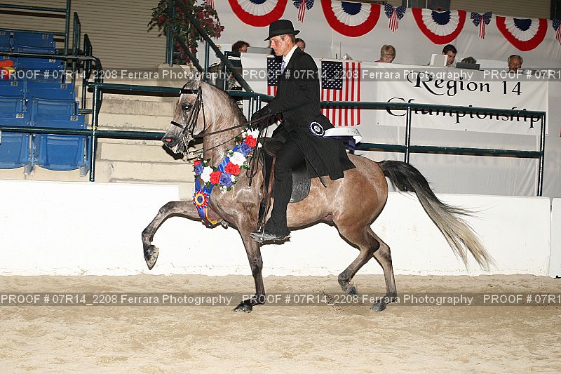 Proof 07R14_2208