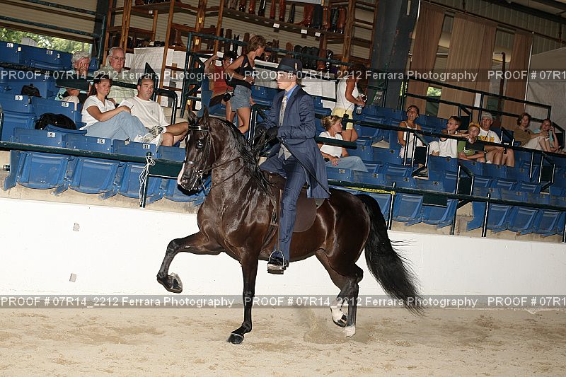 Proof 07R14_2212