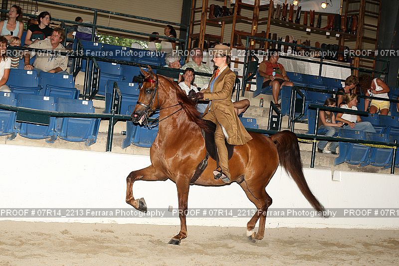Proof 07R14_2213