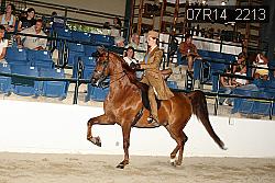 07R14_2213 proof