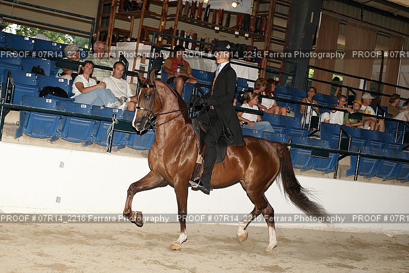 Proof 07R14_2216