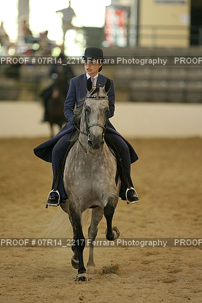Proof 07R14_2217