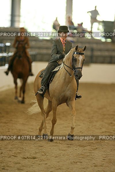 Proof 07R14_2219