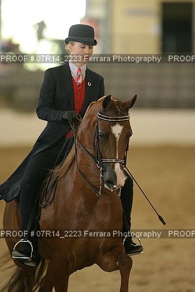 Proof 07R14_2223