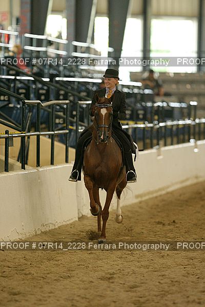 Proof 07R14_2228