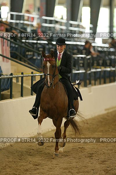 Proof 07R14_2232