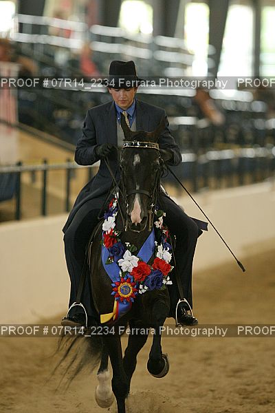 Proof 07R14_2234