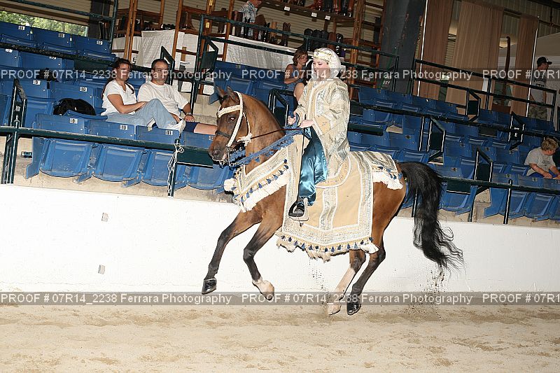 Proof 07R14_2238