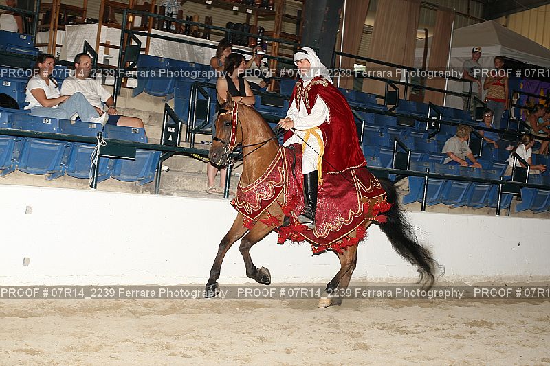 Proof 07R14_2239