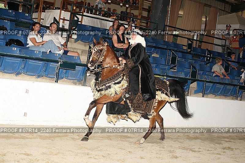 Proof 07R14_2240