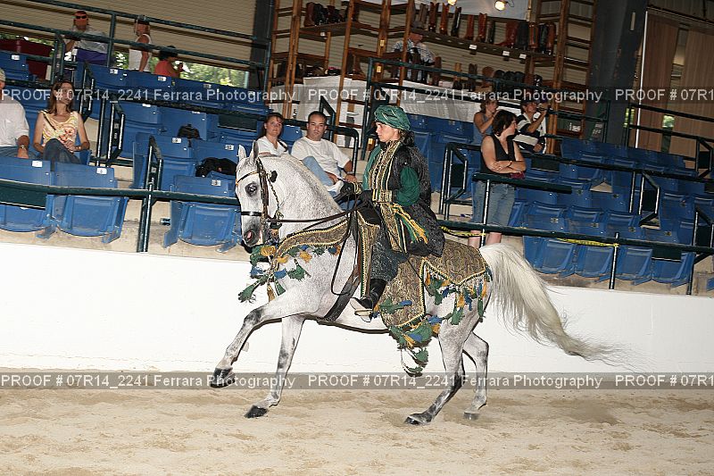 Proof 07R14_2241