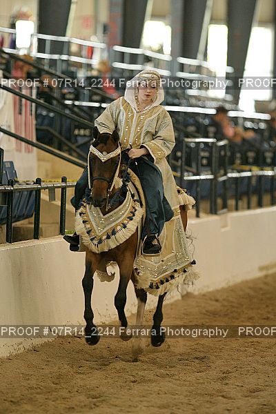Proof 07R14_2244