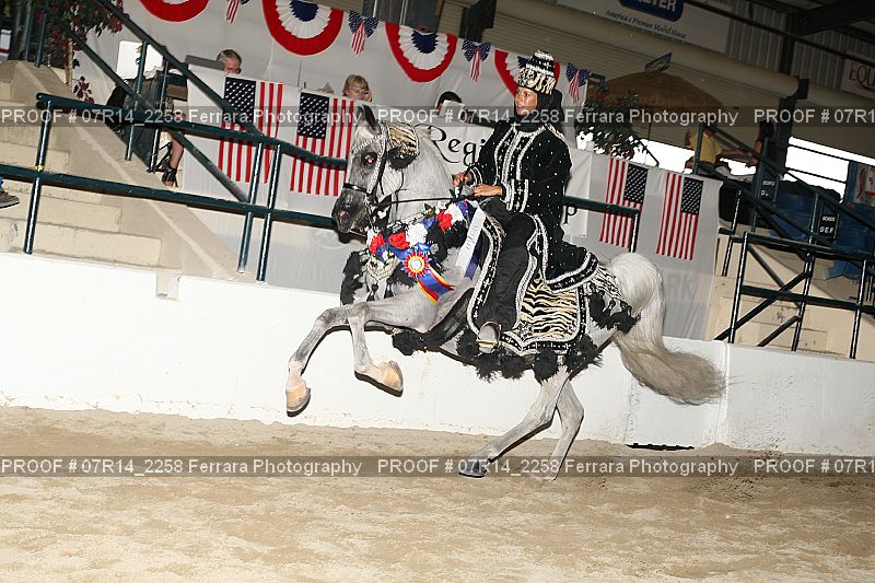 Proof 07R14_2258