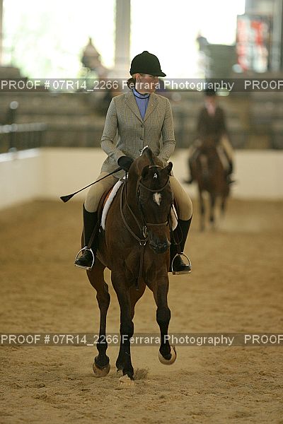 Proof 07R14_2266
