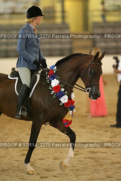 Proof 07R14_2270
