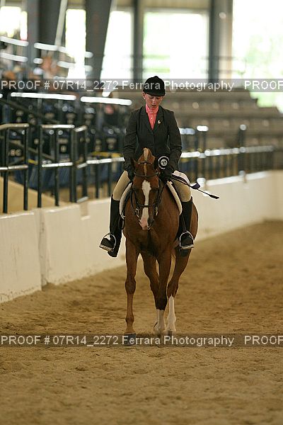 Proof 07R14_2272