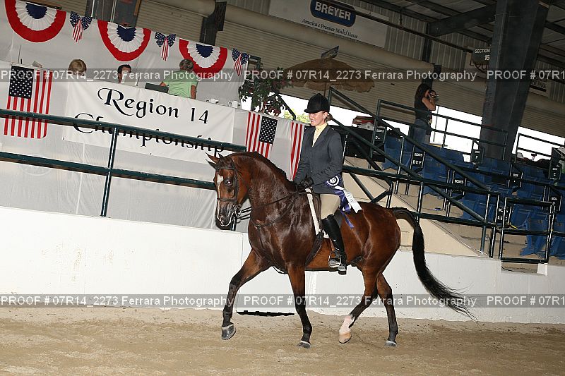 Proof 07R14_2273