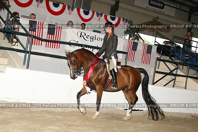 Proof 07R14_2276