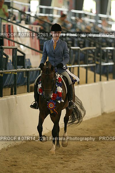 Proof 07R14_2281