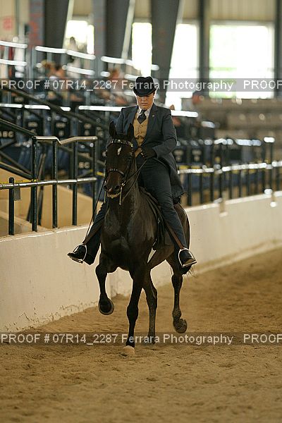 Proof 07R14_2287