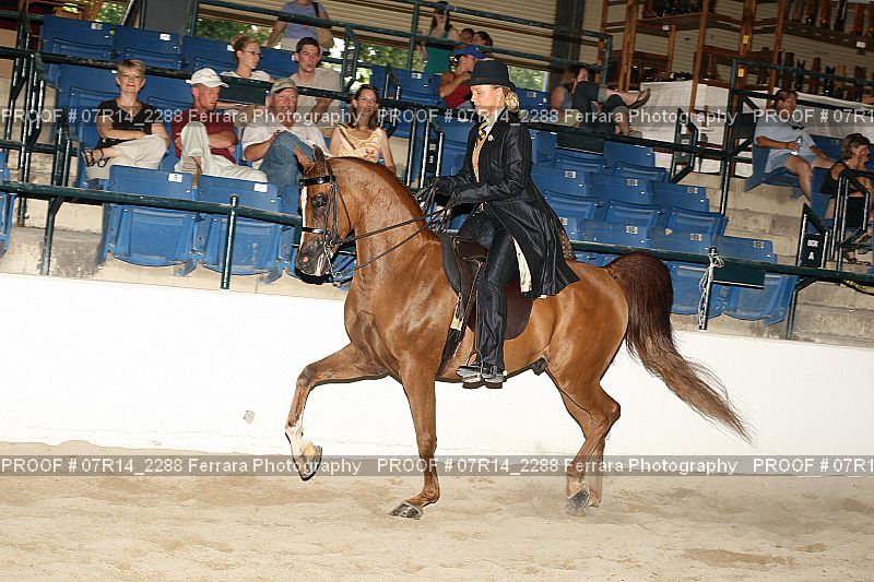 Proof 07R14_2288
