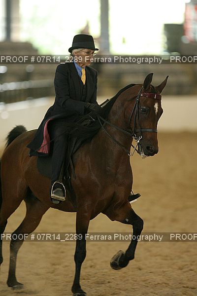 Proof 07R14_2289
