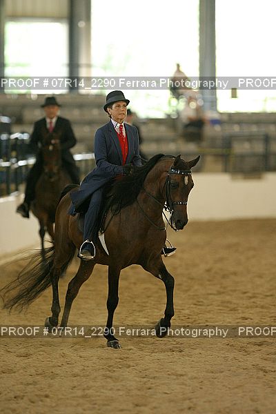 Proof 07R14_2290