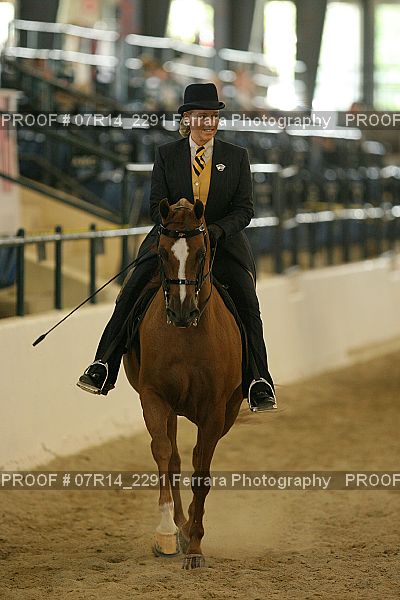 Proof 07R14_2291