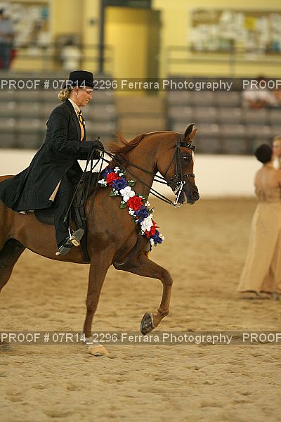Proof 07R14_2296