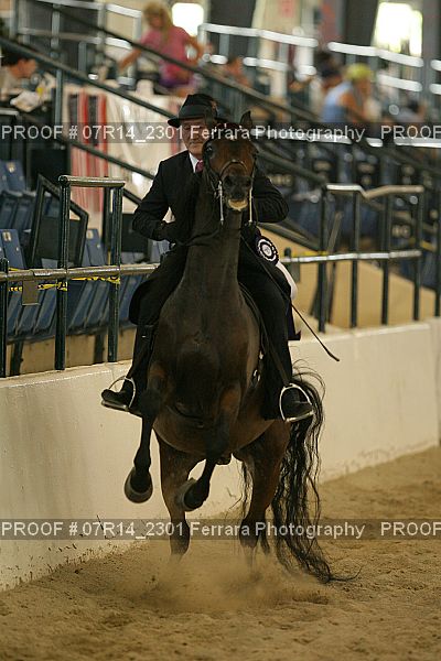 Proof 07R14_2301