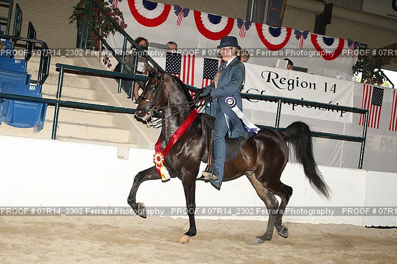 Proof 07R14_2302