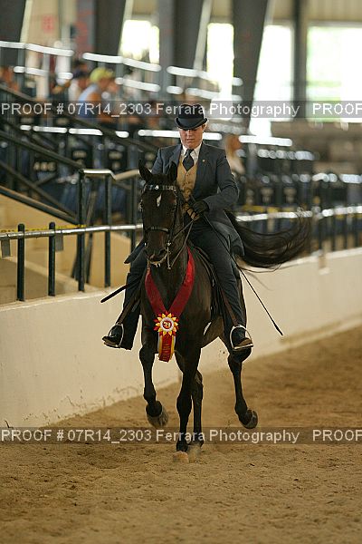 Proof 07R14_2303