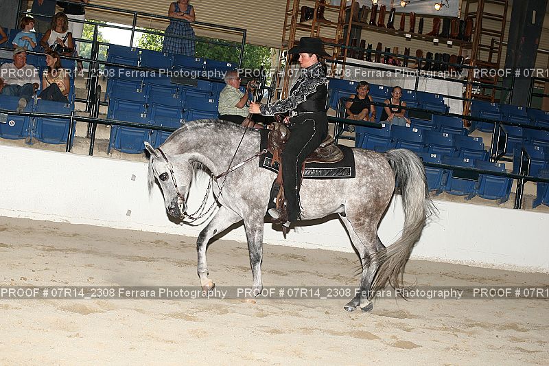 Proof 07R14_2308