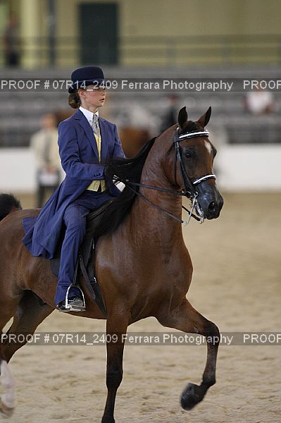 Proof 07R14_2409